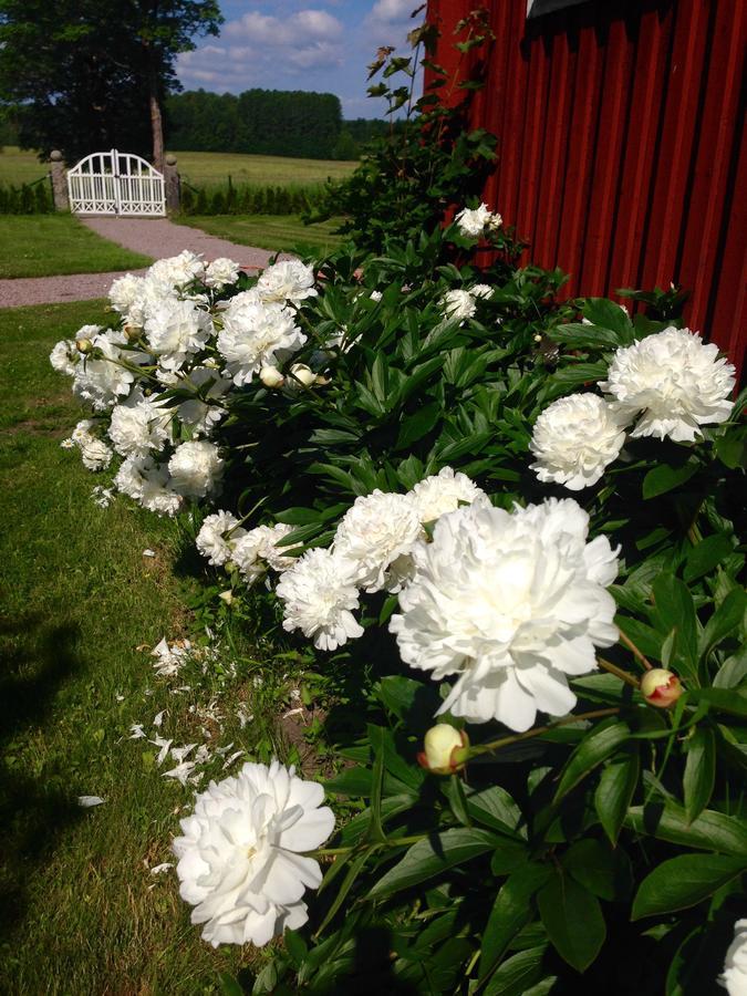 Bergsmansgardens Gaesthus Bed and Breakfast Asphyttan Eksteriør billede